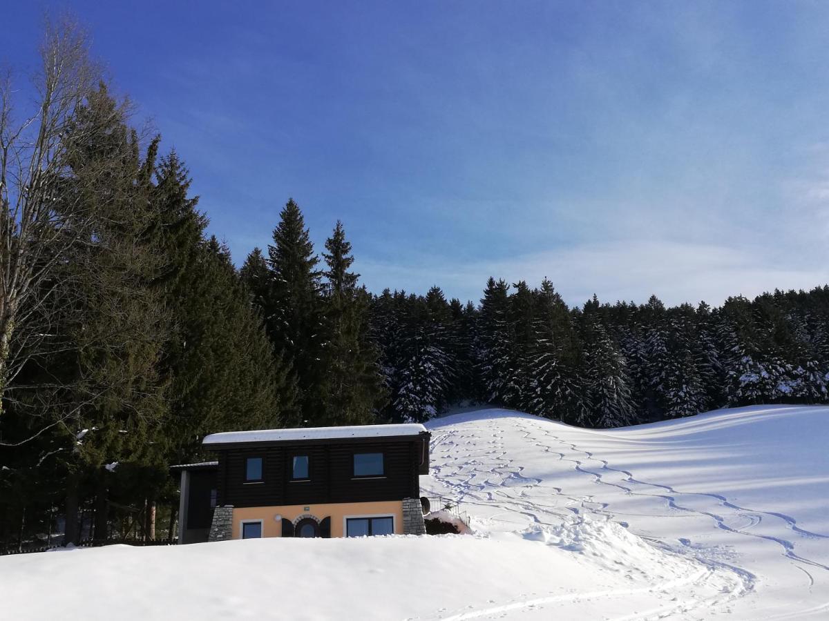 Ferienwohnung Angerlgut Санкт-Коломан Экстерьер фото
