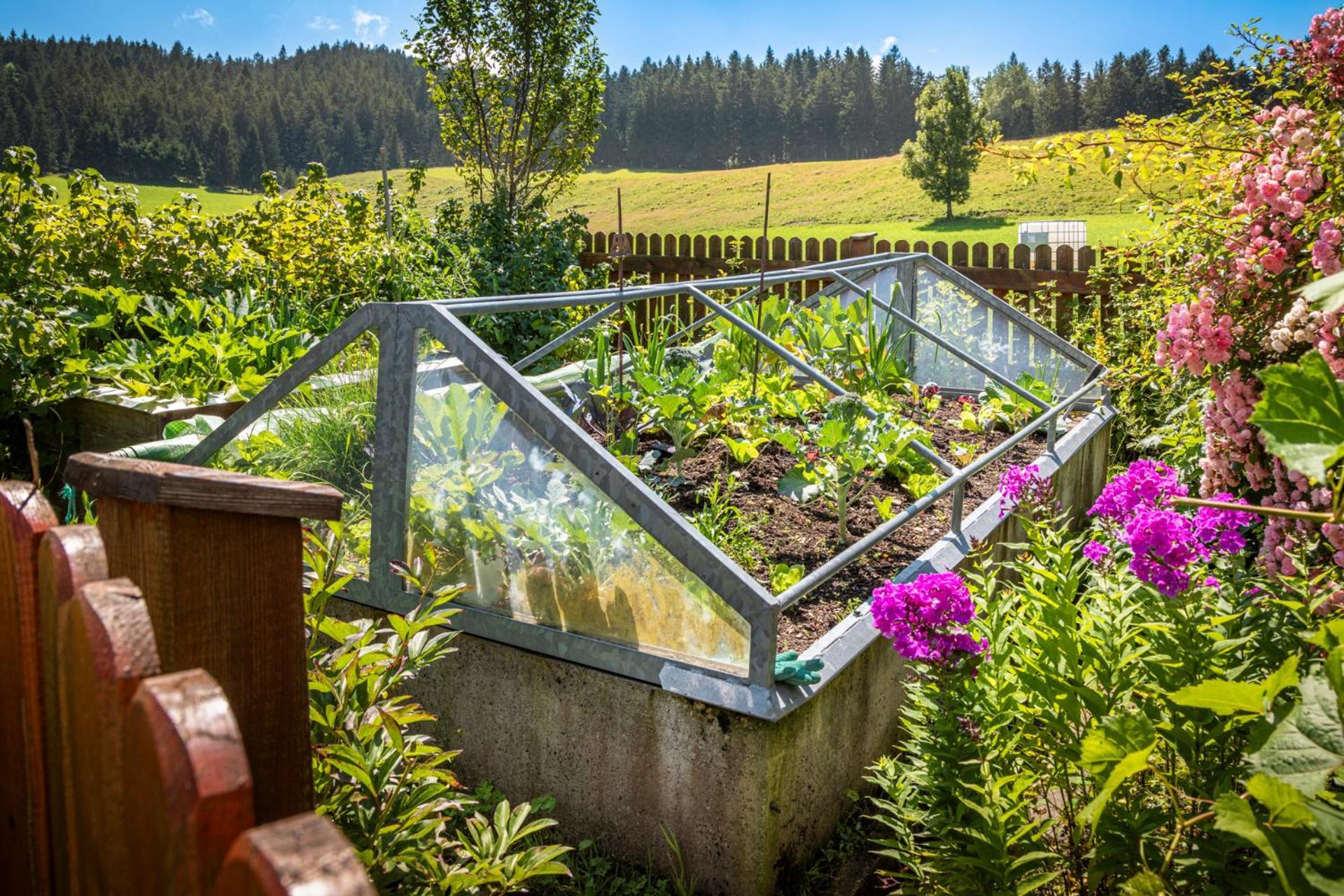 Ferienwohnung Angerlgut Санкт-Коломан Экстерьер фото